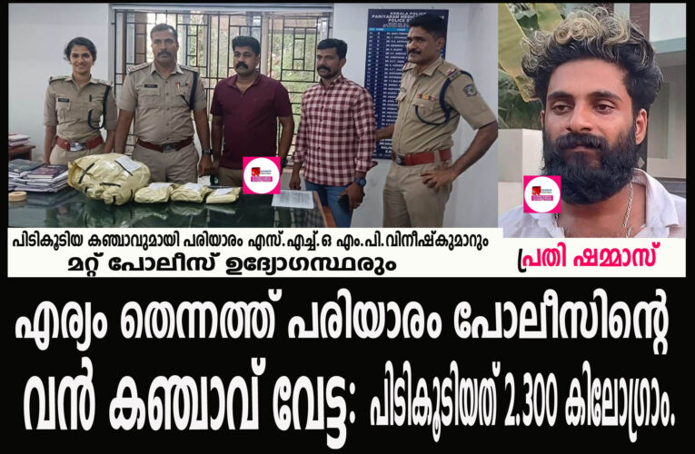 എര്യം തെന്നത്ത് പരിയാരം പോലീസിന്റെ വന്‍ കഞ്ചാവ് വേട്ട: രണ്ടര കിലോയോളം കഞ്ചാവ് പിടിച്ചു