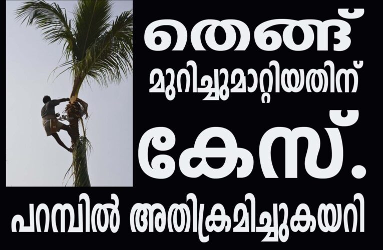 പറമ്പില്‍ അതിക്രമിച്ചുകയറി തെങ്ങ് മുറിച്ചുമാറ്റിയതിന് കേസ്.