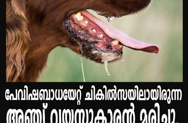 പേവിഷബാധയേറ്റ് ചികില്‍സയിലായിരുന്ന അഞ്ച് വയസുകാരന്‍ മരിച്ചു.