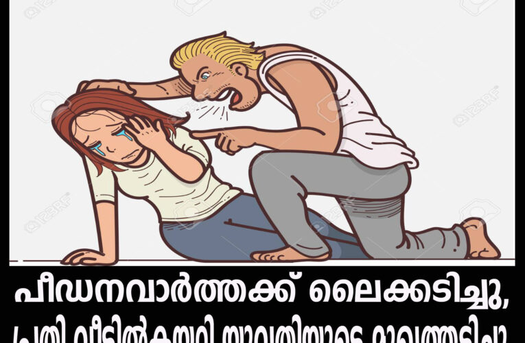പീഡനവാര്‍ത്തക്ക് ലൈക്കടിച്ചു, പ്രതി വീട്ടില്‍കയറി യുവതിയുടെ മുഖത്തടിച്ചു.