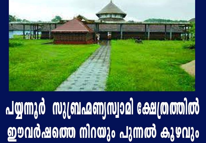 പയ്യന്നൂര്‍ സുബ്രഹ്മണ്യസ്വാമി ക്ഷേത്രത്തില്‍ ഈവര്‍ഷത്തെ നിറയും പുന്നല്‍ കൂഴവും പുത്തരിയും കുറിച്ചു.