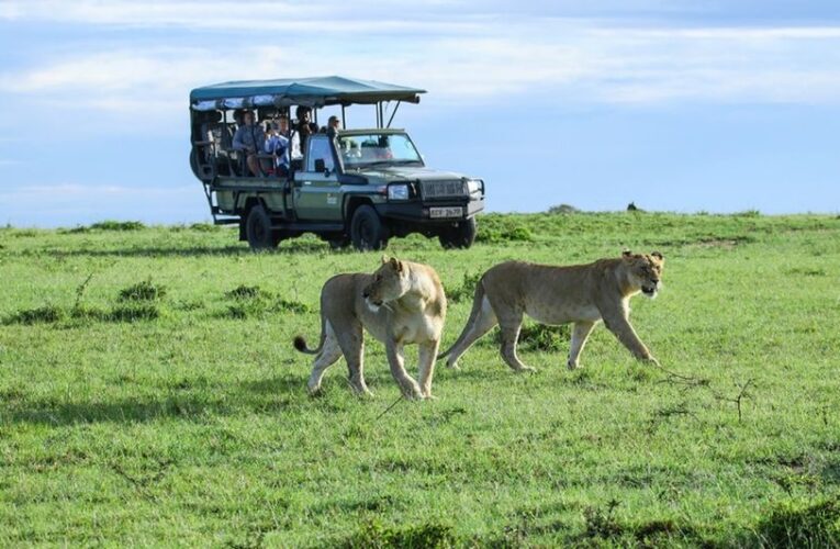 നാടുകാണി സൂ-സഫാരി പാര്‍ക്ക് യാഥാര്‍ത്ഥ്യത്തിലേക്ക്-252.8 ഏക്കര്‍ ഭൂമി മൃഗശാല വകുപ്പിന് കൈമാറി.