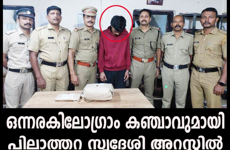 ഒന്നരകിലോഗ്രാം കഞ്ചാവുമായി  പിലാത്തറ സ്വദേശി അറസ്റ്റില്‍