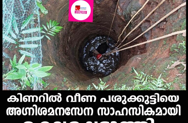 കിണറില്‍ വീണ പശുക്കുട്ടിയെ അഗ്നിശമനസേന സാഹസികമായി രക്ഷപ്പെടുത്തി.