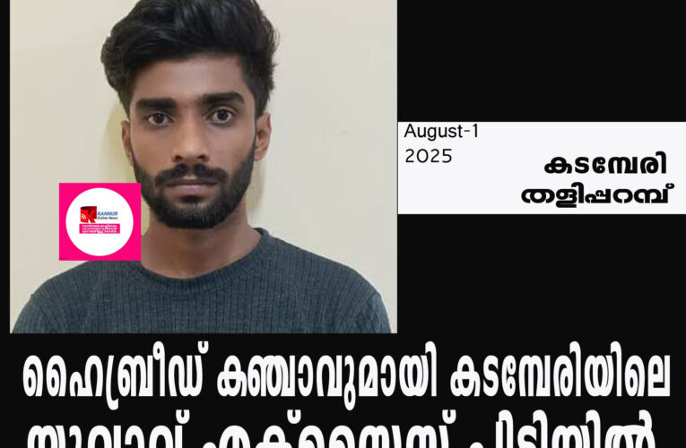 ഹൈബ്രീഡ് കഞ്ചാവുമായി കടമ്പേരിയിലെ യുവാവ് എക്‌സൈസ് പിടിയില്‍