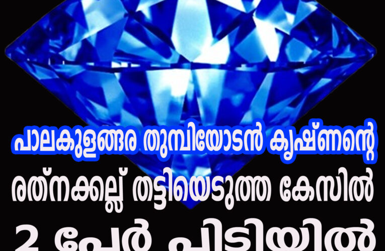കോടികളുടെ രത്കക്കല്ല് തട്ടിയെടുത്ത   കേസില്‍ രണ്ടംഗസംഘം പോലീസ് പിടിയില്‍