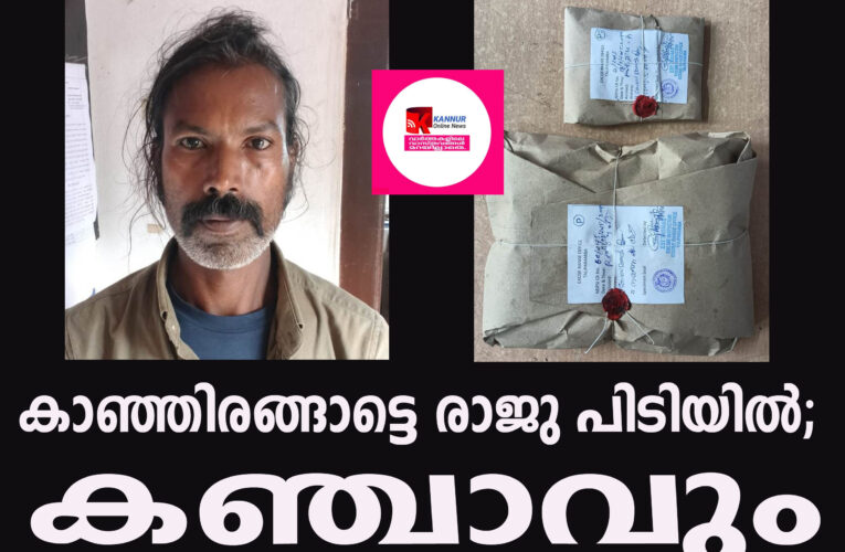 തളിപ്പറമ്പില്‍ വീണ്ടും കഞ്ചാവ് വേട്ട, കാഞ്ഞിരങ്ങാട്ടെ രാജു പിടിയില്‍: