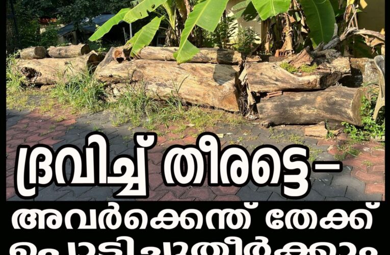 ദ്രവിച്ച് തീരട്ടെ-  അവര്‍ക്കെന്ത് തേക്ക്  പൊടിച്ചുതീര്‍ക്കാം