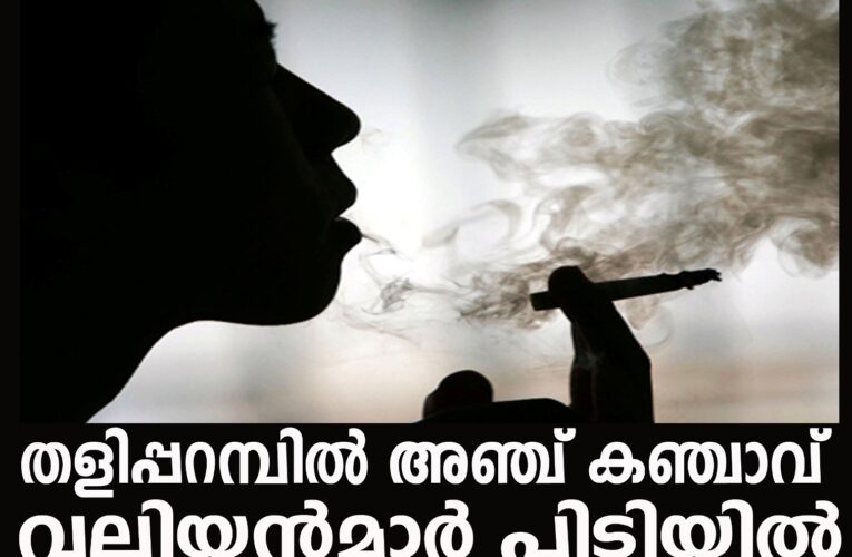 കഞ്ചാവുവലിക്കാരായ അഞ്ചുപേര്‍ക്കെതിരെ കേസ്.