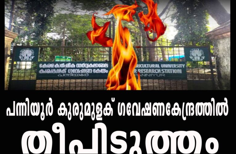 പന്നിയൂര്‍ കുരുമുളക് ഗവേഷണകേന്ദ്രത്തില്‍ തീപിടുത്തം, സംഭവത്തില്‍ ദുരൂഹത