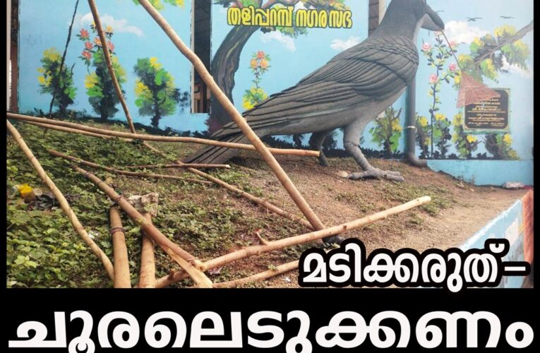 ഇത് അനുവദിക്കരുത്-നഗരഭരണാധികാരികള്‍ ചൂരലെടുക്കണം