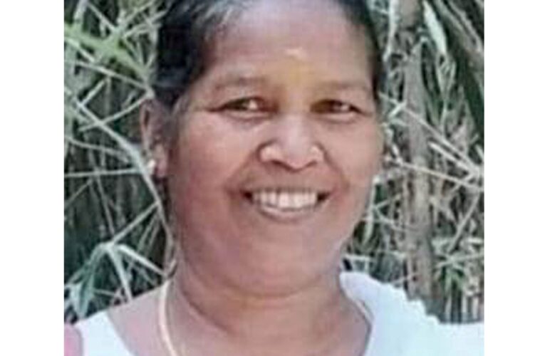 കാര്‍ ഇടിച്ച് വഴിയാത്രക്കാരിയായ വീട്ടമ്മ മരിച്ചു.