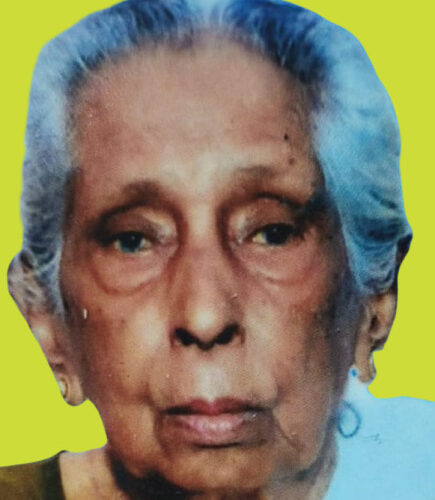 പൂക്കോത്ത് തെരുവിലെ വടക്കൻ ലക്ഷ്മി (93) നിര്യാതയായി.