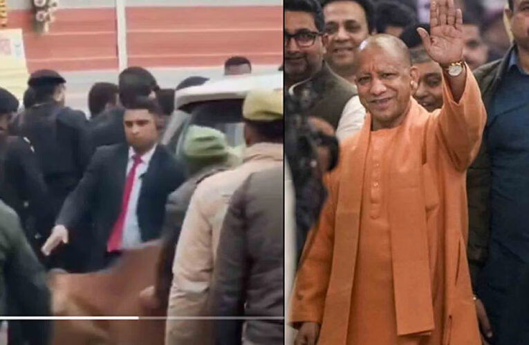 യോഗിക്ക് നേരെ പാഞ്ഞടുത്ത് പശു-സുരക്ഷ വീഴ്ച്ച ചൂണ്ടിക്കാട്ടി സസ്‌പെന്‍ഷന്‍