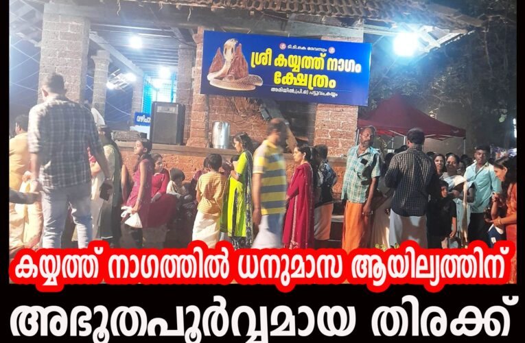 കയ്യത്ത് നാഗത്തില്‍ ധനുമാസ ആയില്യത്തിന് അഭൂതപൂര്‍വ്വമായ തിരക്ക്