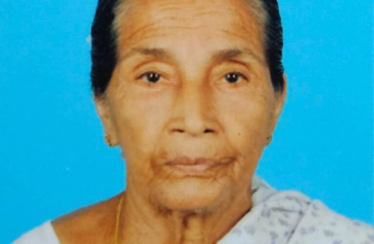 മകന്‍ കസേരയോടെ മുറ്റത്തേക്ക് വലിച്ചെറിഞ്ഞ മാതാവ് മരിച്ചു.