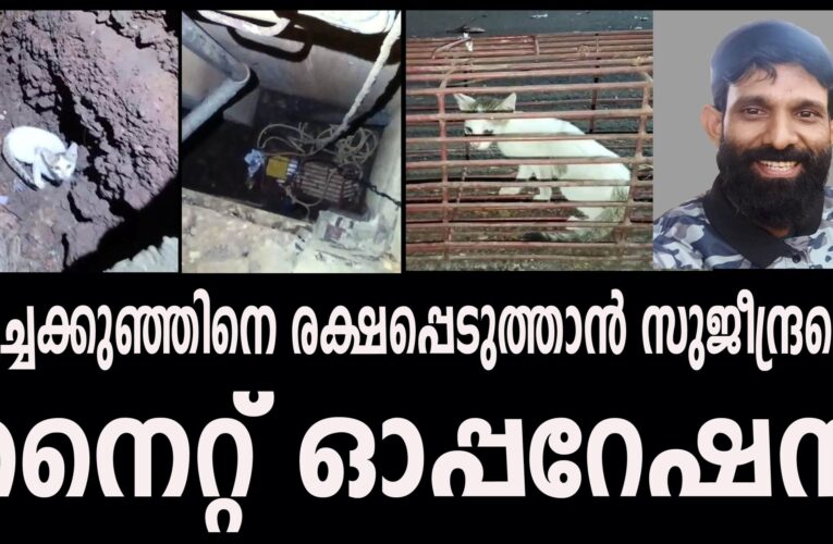 പൂച്ചക്കുഞ്ഞിനെ രക്ഷപ്പെടുത്താന്‍ സുജീന്ദ്രന്റെ നൈറ്റ് ഓപ്പറേഷന്‍.