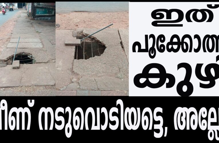 അപകടത്തിലേക്ക് തുറന്നുവെച്ച ഓവുചാല്‍.