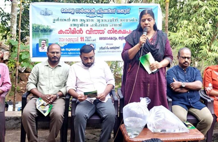 വൈരാംകോട്ടം കടവില്‍ കരിമീന്‍ കുഞ്ഞുങ്ങളെ നിക്ഷേപിച്ചു