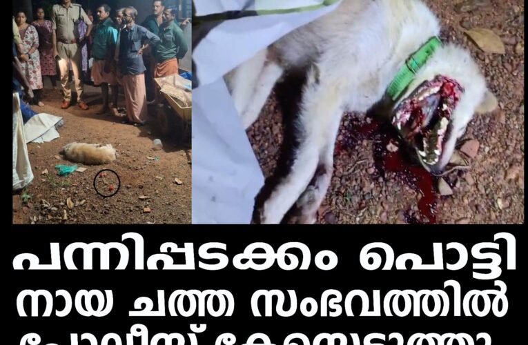 പന്നിപ്പടക്കം പൊട്ടി നായ ചത്ത സംഭവത്തില്‍ പോലീസ് കേസെടുത്തു.