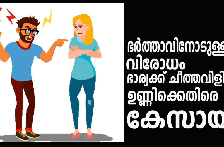 ഭര്‍ത്താവിനോടുള്ള വിരോധം  ഭാര്യക്ക് ചീത്തവിളി –ഉണ്ണിക്കെതിരെ കേസായി