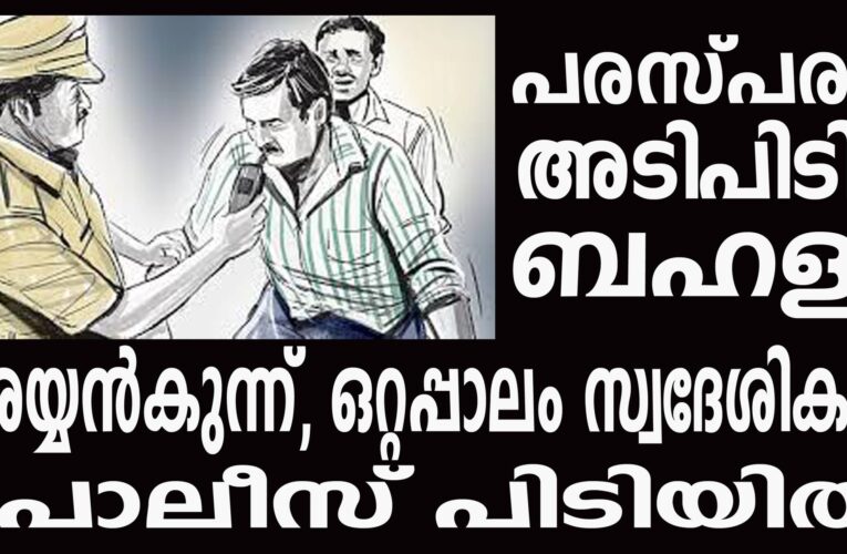 പരസ്പരം അടിപിടി, ബഹളം അയ്യന്‍കുന്ന്, ഒറ്റപ്പാലം സ്വദേശികള്‍ പോലീസ് പിടിയില്‍
