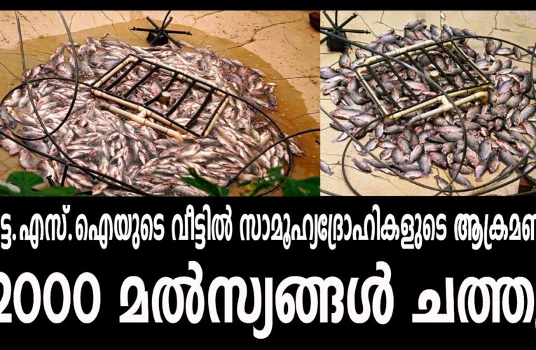 റിട്ട.എസ്.ഐയുടെ വീട്ടില്‍ സാമൂഹ്യദ്രോഹികളുടെ ആക്രമണം