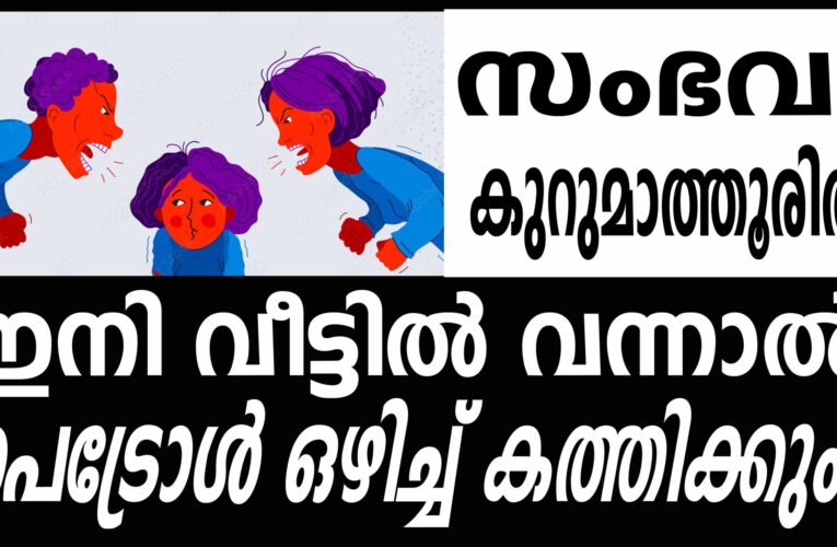 നിയമപരമായി വിവാഹം കഴിക്കണം എന്നാവശ്യപ്പെട്ടതിന് യുവതിയെ ക്രൂരമായി മര്‍ദ്ദിച്ചു-