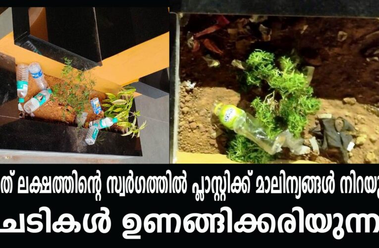 മുപ്പത് ലക്ഷത്തിന്റെ സ്വര്‍ഗത്തില്‍ പ്ലാസ്റ്റിക്ക് മാലിന്യങ്ങള്‍ നിറയുന്നു, ചെടികള്‍ ഉണങ്ങിക്കരിയുന്നു.