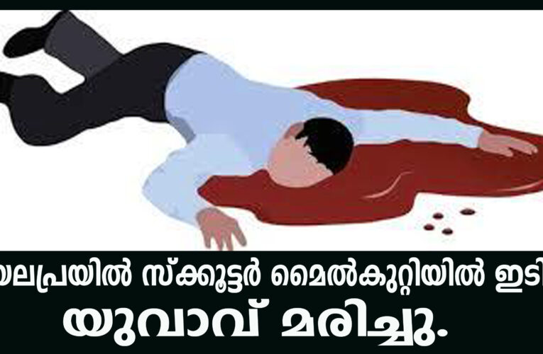 വയലപ്രയില്‍ സ്‌ക്കൂട്ടര്‍ മൈല്‍കുറ്റിയില്‍ ഇടിച്ച് യുവാവ് മരിച്ചു.