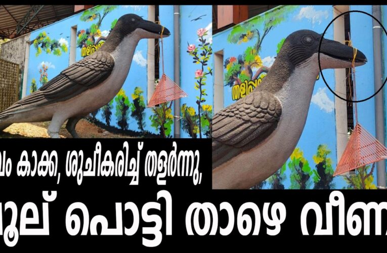പാവം കാക്ക, ശുചീകരിച്ച് തളര്‍ന്നു, ചൂല് പൊട്ടി താഴെ വീണു.