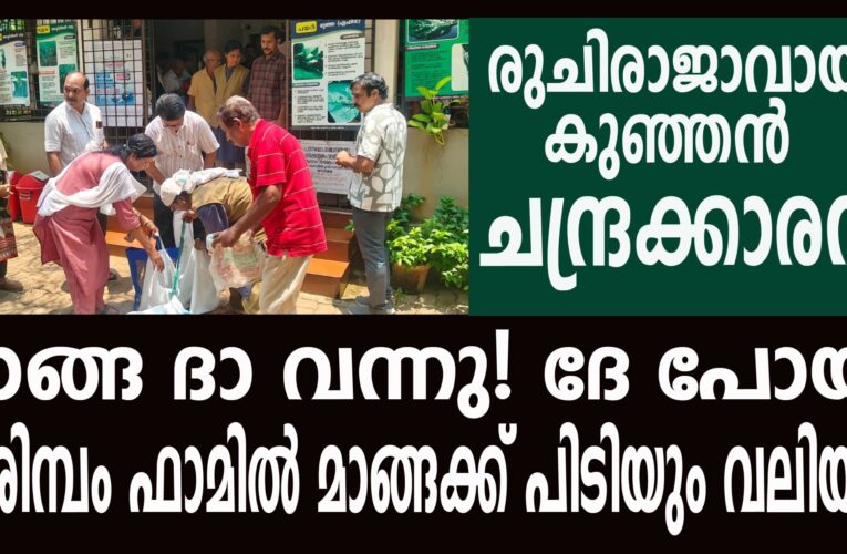 കരിമ്പം ഫാമില്‍ മാങ്ങക്ക് പിടിയും വലിയും-വില്‍പ്പനയില്‍ മുമ്പന്‍ ചന്ദ്രക്കാരന്‍.