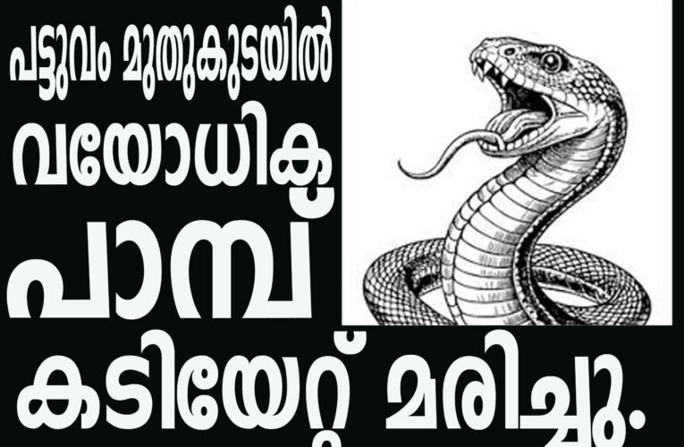 പട്ടുവം മുതുകുടയില്‍ വയോധിക പാമ്പ് കടിയേറ്റ് മരിച്ചു.