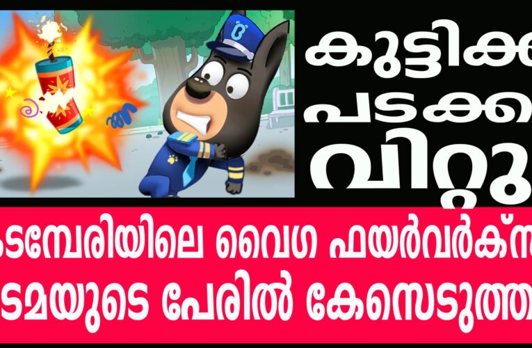 കുട്ടിക്ക് പടക്കം വിറ്റു, കടമ്പേരിയിലെ വൈഗ ഫയര്‍വര്‍ക്‌സ് ഉടമയുടെ പേരില്‍ കേസെടുത്തു.