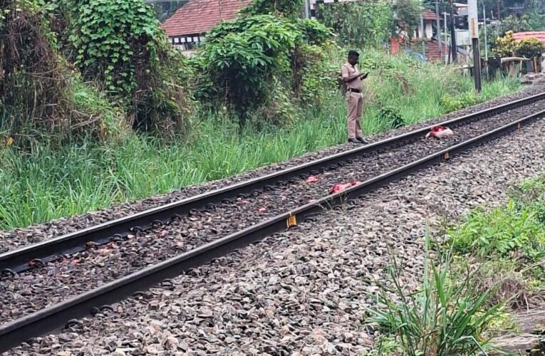 ചിറക്കല്‍ റെയില്‍വെ സ്റ്റേഷന് സമീപം ട്രെയിന്‍ തട്ടി ഒരാള്‍ മരിച്ചു.