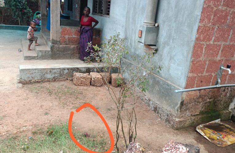 പാണപ്പുഴയില്‍ വീടിന് നേരെ സ്‌ഫോടകവസ്തു എറിഞ്ഞതായി പരാതി.