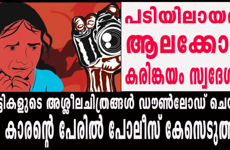 കുട്ടികളുടെ അശ്ലീലചിത്രങ്ങള്‍ ഡൗണ്‍ലോഡ് ചെയ്ത  19 കാരന്റെ പേരില്‍ പോലീസ് കേസെടുത്തു.