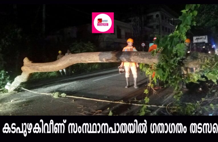 മരം കടപുഴകിവീണ് സംസ്ഥാനപാതയില്‍ ഗതാഗതം തടസപ്പെട്ടു