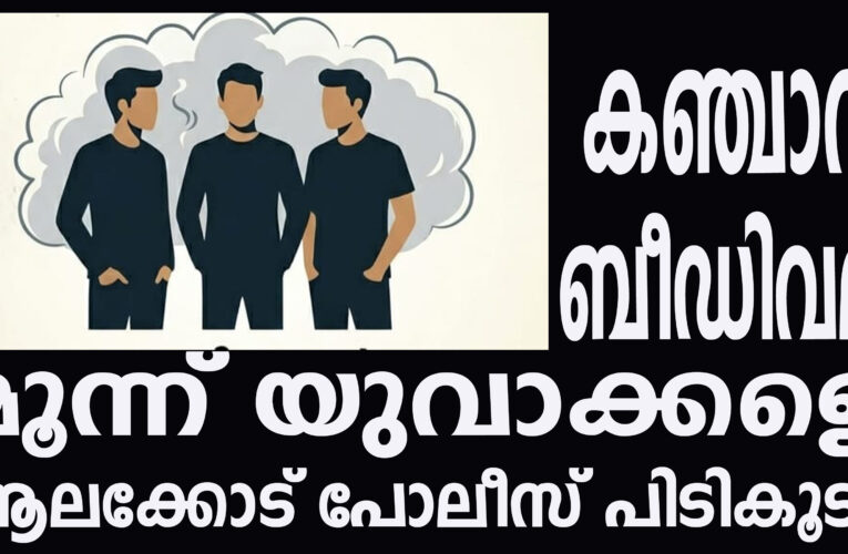 കഞ്ചാവ് ബീഡിവലിക്കുകയായിരുന്ന മൂന്ന് യുവാക്കളെ ആലക്കോട് പോലീസ് പിടികൂടി