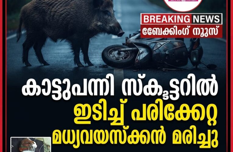 സ്‌കൂട്ടില്‍ കാട്ടുപന്നിയിടിച്ച് തെറിച്ചു വീണ് പരിക്കേറ്റ് ചികില്‍സയിലായിരുന്ന മധ്യവയസ്‌ക്കന്‍ മരിച്ചു.