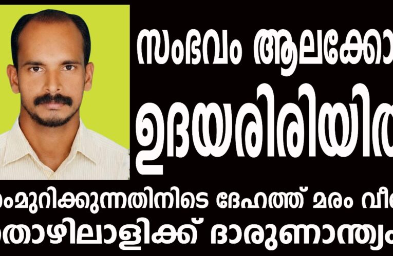 മരംമുറിക്കുന്നതിനിടെ ദേഹത്ത് മരം വീണ് തൊഴിലാളിക്ക് ദാരുണാന്ത്യം
