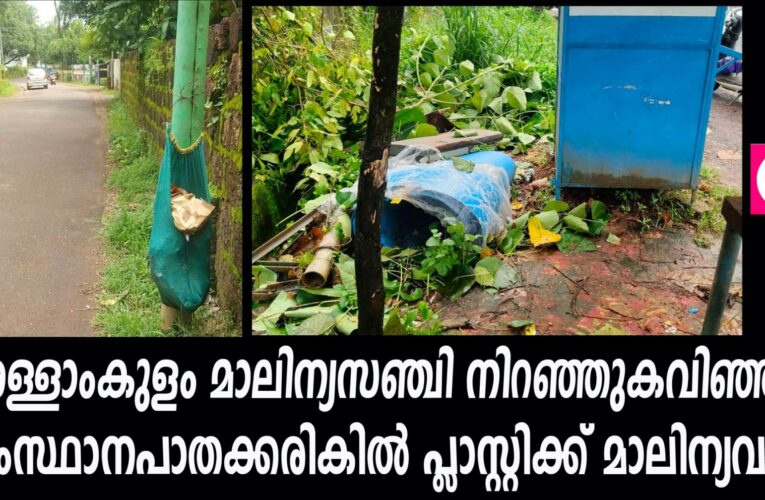 അള്ളാംകുളം മാലിന്യസഞ്ചി നിറഞ്ഞുകവിഞ്ഞു, സംസ്ഥാനപാതക്കരികില്‍ പ്ലാസ്റ്റിക്ക് മാലിന്യവും.