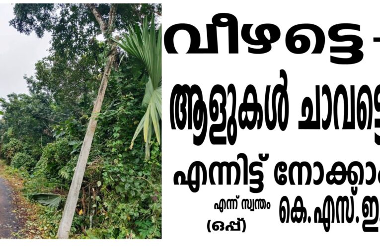 വീഴട്ടെ-ആളുകള്‍ ചാവട്ടെ-എന്നിട്ട് നോക്കാം-എന്ന് സ്വന്തം കെ.എസ്.ഇ.ബി (ഒപ്പ്)